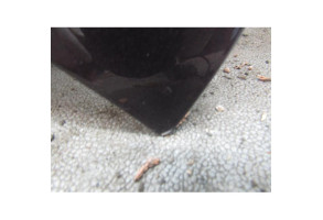 Capot TOYOTA URBAN CRUISER Photo n°5