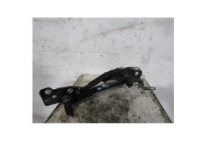 Charniere de capot RENAULT SCENIC 3 Photo n°1