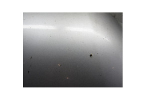 Capot VOLKSWAGEN BORA Photo n°5