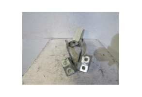 Charniere de capot RENAULT KANGOO 2 Photo n°2