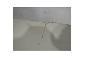 Aile avant gauche RENAULT MASTER 2 Photo n°1