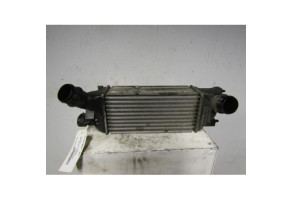 Echangeur air (Intercooler) PEUGEOT 407 Photo n°1