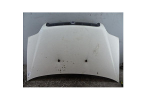 Capot FIAT DOBLO 1 Photo n°1
