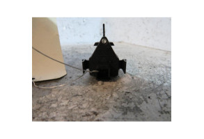 Bouton de warning MERCEDES CLASSE B 245 Photo n°2