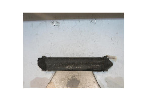 Echangeur air (Intercooler) FORD S-MAX 1 Photo n°2