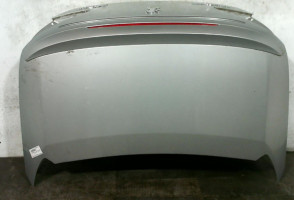 Malle/Hayon arriere PEUGEOT 307