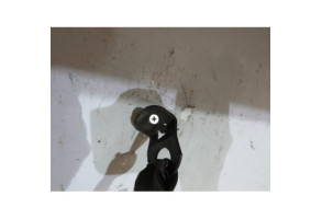 Ceinture avant droit SEAT LEON 1 Photo n°2
