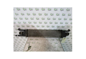 Echangeur air (Intercooler) FIAT PUNTO EVO 3 Photo n°1