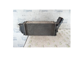 Echangeur air (Intercooler) PEUGEOT 307 Photo n°1