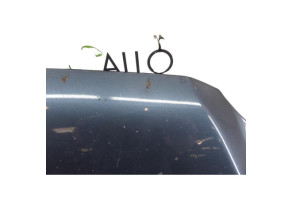 Capot FIAT IDEA Photo n°2