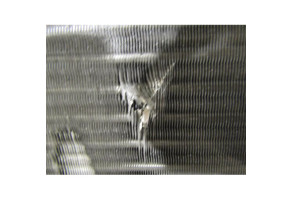 Radiateur eau CITROEN JUMPER 3 Photo n°1