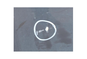 Porte avant droit VOLVO C 30 Photo n°7