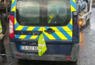 Capot PEUGEOT EXPERT 2 Photo n°8