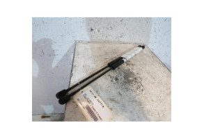 Verin de coffre OPEL SIGNUM Photo n°1