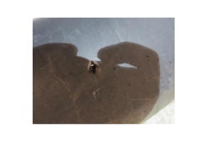Pare choc arriere OPEL COMBO C Photo n°7