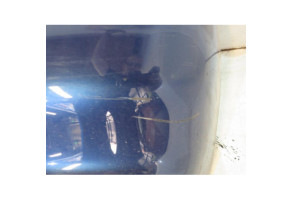 Pare choc arriere SEAT IBIZA 2 Photo n°4