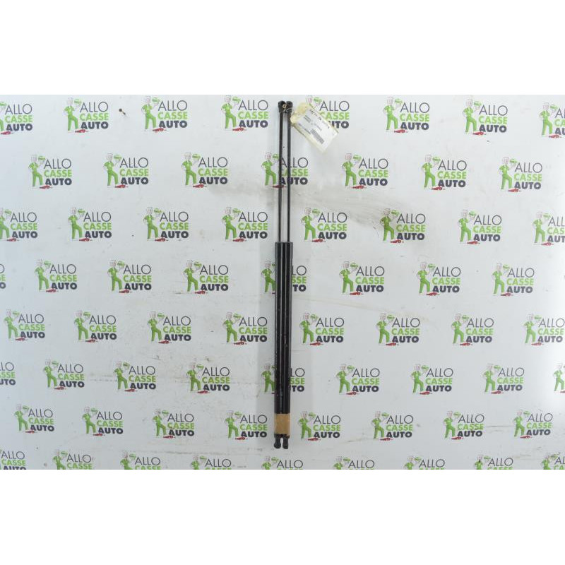 Verin de coffre RENAULT KANGOO 2 Photo n°1