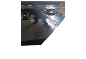 Porte arriere gauche CITROEN C-ELYSEE Photo n°4