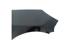 Aile avant droit RENAULT SCENIC 3 Photo n°1