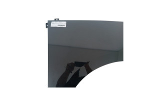 Aile avant droit RENAULT SCENIC 3 Photo n°4