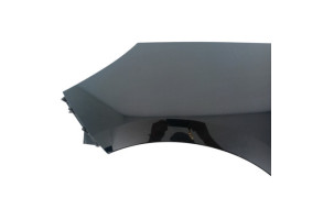 Aile avant gauche RENAULT SCENIC 3 Photo n°2