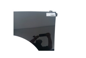Aile avant gauche RENAULT SCENIC 3 Photo n°3
