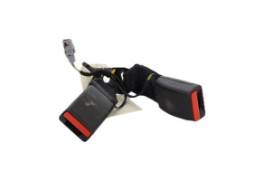Attache ceinture arriere gauche DACIA SANDERO 3 Photo n°2
