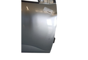 Porte avant droit DACIA SANDERO 3 Photo n°5