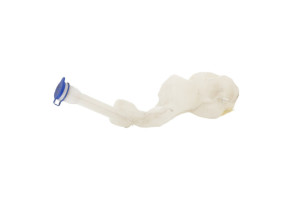 Vase de lave glace FORD ECOSPORT Photo n°3