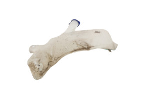 Vase de lave glace FORD FIESTA 6 Photo n°4