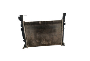 Radiateur eau RENAULT KANGOO 2 Photo n°1