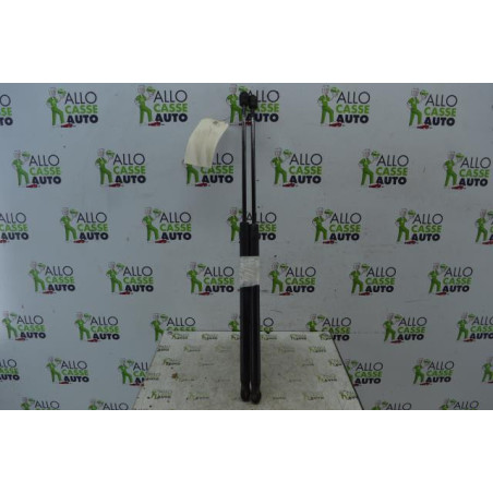 Verin de coffre FORD C-MAX 1