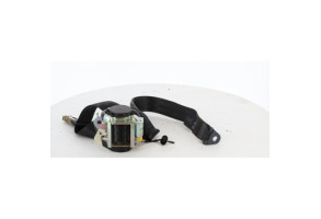 Ceinture arriere gauche CITROEN C3 3 Photo n°2