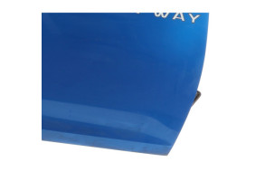 Porte avant droit DACIA SANDERO 2 Photo n°4