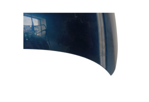 Capot FIAT 500 2 Photo n°2
