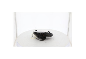 Anti brouillard droit (feux) HYUNDAI I 30 1 Photo n°4