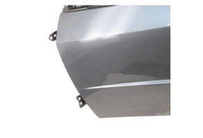 Porte avant gauche HONDA CIVIC 8 Photo n°5