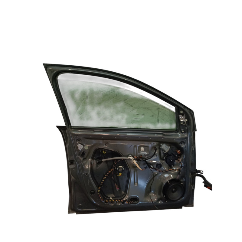 Porte avant gauche VOLKSWAGEN POLO 5 Photo n°1