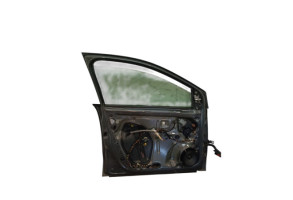 Porte avant gauche VOLKSWAGEN POLO 5 Photo n°1