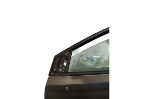 Porte avant gauche VOLKSWAGEN POLO 5 Photo n°5