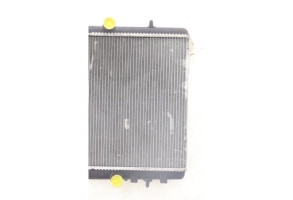 Radiateur eau PEUGEOT 3008 1 Photo n°6