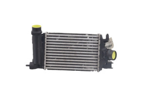 Echangeur air (Intercooler) DACIA SANDERO 3 STEPWAY Photo n°1