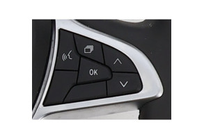 Volant DACIA SANDERO 3 STEPWAY Photo n°3