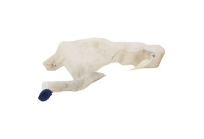 Vase de lave glace FORD FIESTA 6 Photo n°1