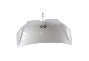 Capot VOLKSWAGEN UP Photo n°1