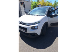 Custode avant gauche (porte) CITROEN C3 3 Photo n°9