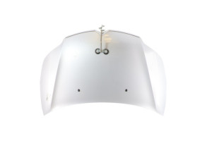 Capot CITROEN C4 1 Photo n°1
