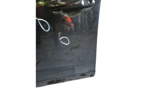 Porte avant gauche NISSAN JUKE 1 Photo n°4
