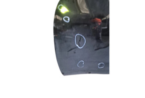 Porte avant gauche NISSAN JUKE 1 Photo n°5