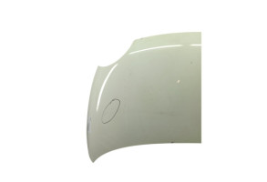 Capot FIAT 500 2 Photo n°7